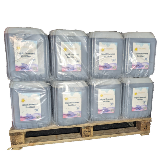 25 x 20L Seaweed Fertiliser (500L)