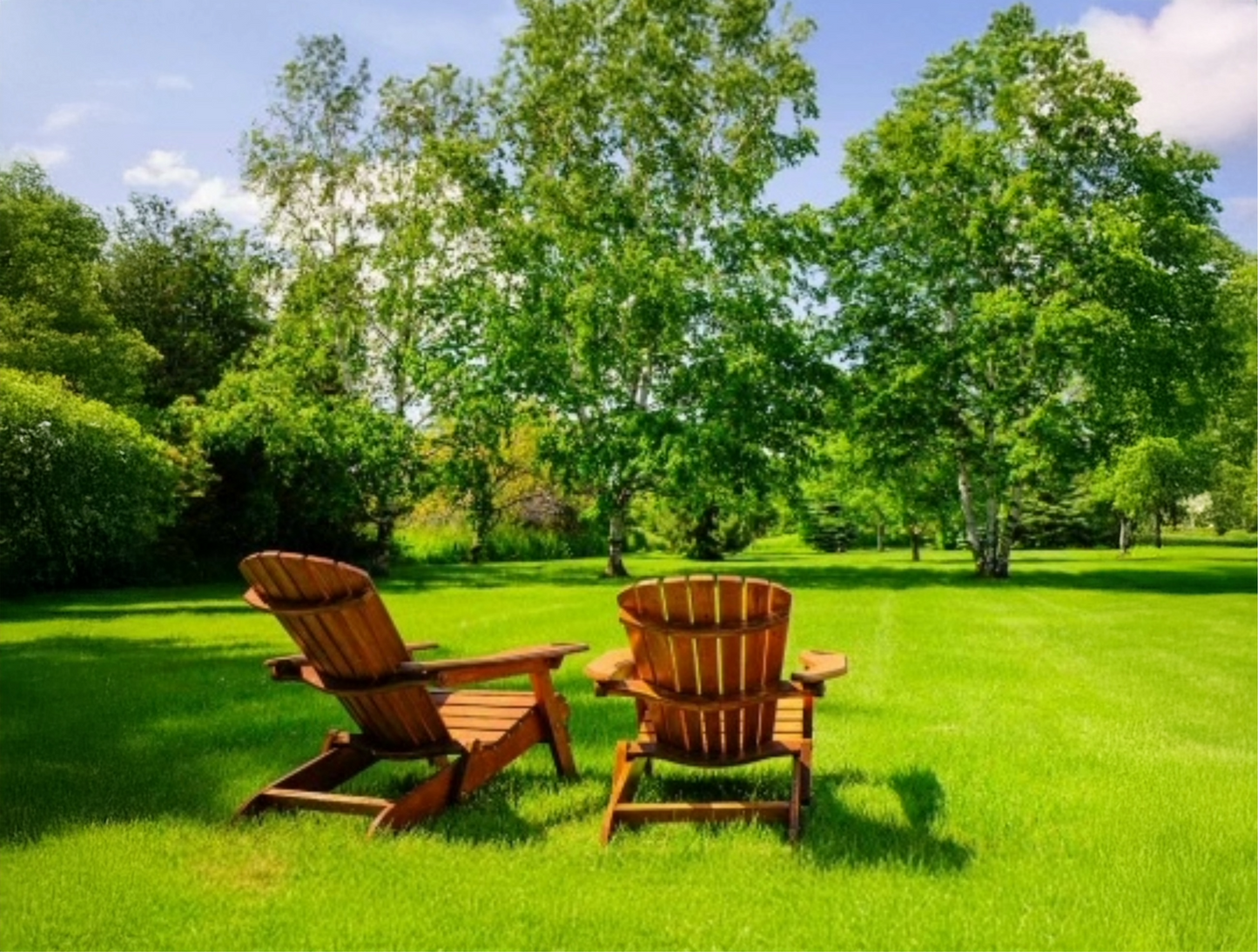 Liquid Seaweed Fertiliser 30L – Concentrated Premium 1:200 General Purpose Feed