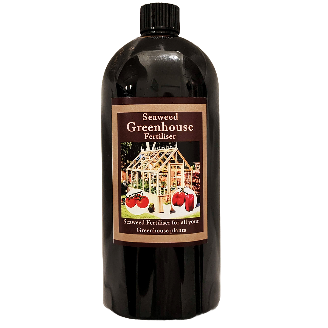 Greenhouse Seaweed Fertiliser 1L | Premium Seaweed Liquid Concentrate | Packed with Minerals & Nutrients | Greenhouse Plant Feed