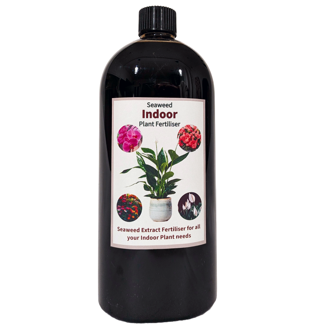 Household Seaweed Fertiliser 1L | Powerful Indoor seaweed Liquid Plant Food | Suitable all Plants