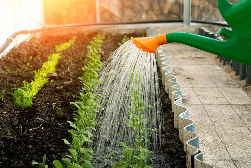 Seaweed fertiliser 300L | Powerful Organic Fertiliser in a 300L IBC Container + IBC Tap Attachment