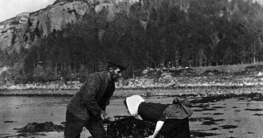 Seaweed and the Croft: A Highland Tradition of Natural Soil Fertility