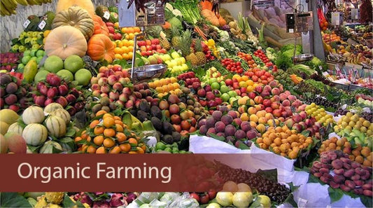The Advantages of Seaweed Fertiliser in Organic Farming