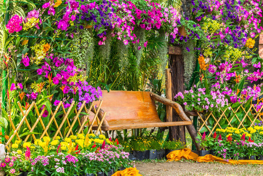 Benefits of Using Liquid Seaweed Fertiliser in Your Garden