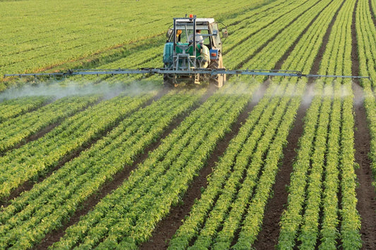 🌱 Seaweed in Agriculture: Nature’s Original Fertiliser