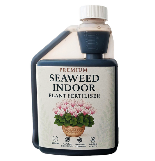 500ml Liquid Seaweed Indoor Plant Fertiliser – Organic Weekly Feed for All Houseplants