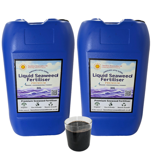 Liquid Seaweed Fertiliser – Premium 2 × 30L Organic 1:200 Concentrate (Bulk Pack)