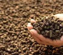 25L Seaweed Fertiliser Pellets – Organic Slow-Release Soil & Plant Enricher