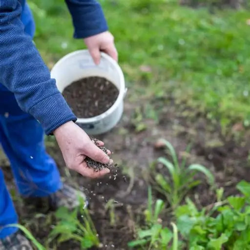 25L Seaweed Fertiliser Pellets – Organic Slow-Release Soil & Plant Enricher