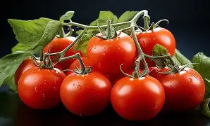 500ml Ultra-Concentrated Liquid Seaweed Fertiliser – Strong General Purpose Feed (1:400 Dilution)